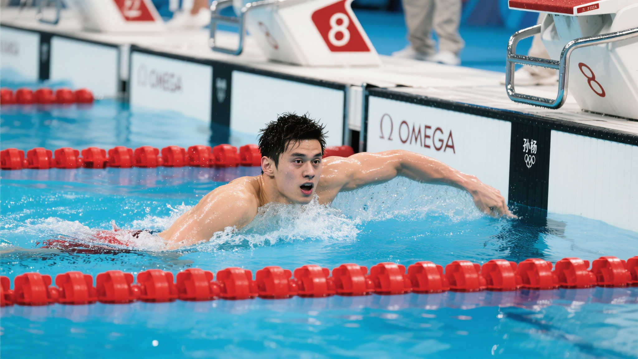 国队征召的 国队征召的